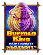 bet per line แปลว่า สำหรับมือใหม่หัดเล่น